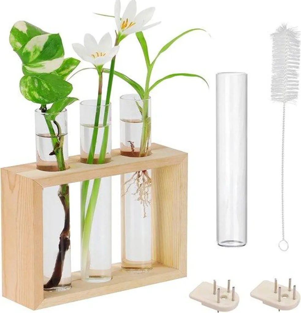 Terrarium de table moderne 4 tubes en verre et support bois naturel bio