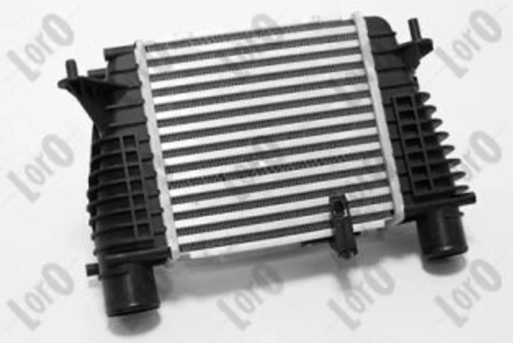 ABAKUS 042-018-0003 Porte-bagages OE 8200170504 pour Juke F15 et Clio III