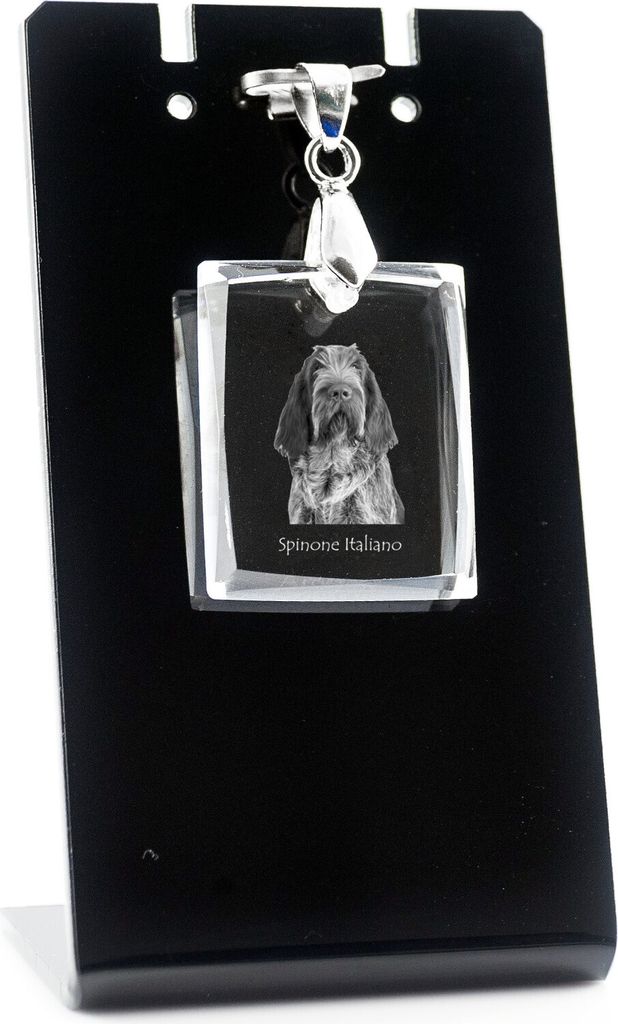 Italienischer Spinone, Spinone Italiano - Kristallanhänger für Hunde, Foto-Halskette, einzigartiger Schmuck von Art-Dog