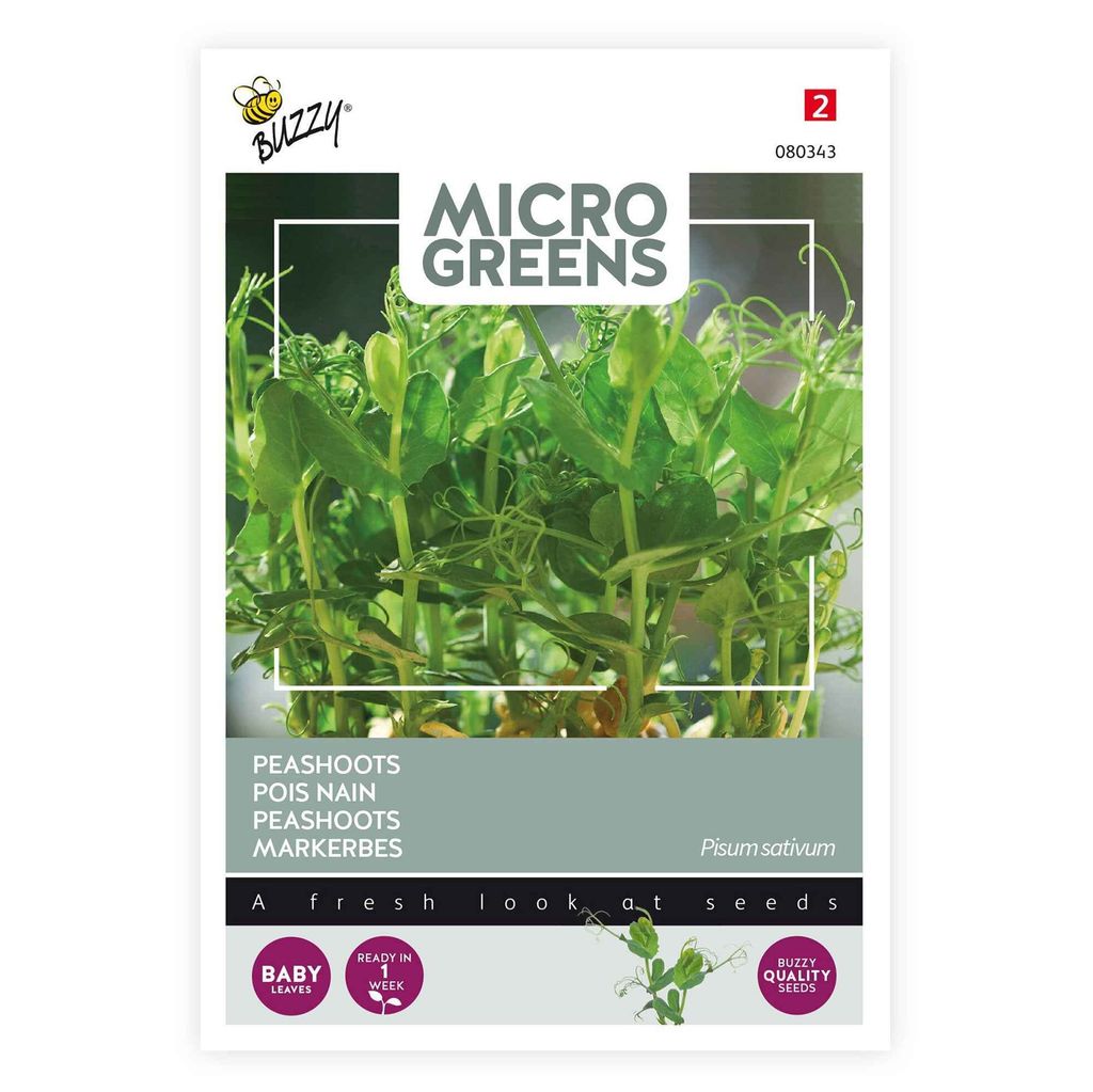 Markerbsen | Microgroenten van Buzzy Seeds Productafbeelding 