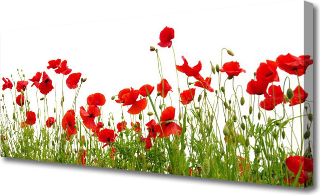 Tulup Leinwand-Bilder 125x50 Wandbild Canvas Kunstdruck Wiese Mohnblumen Natur