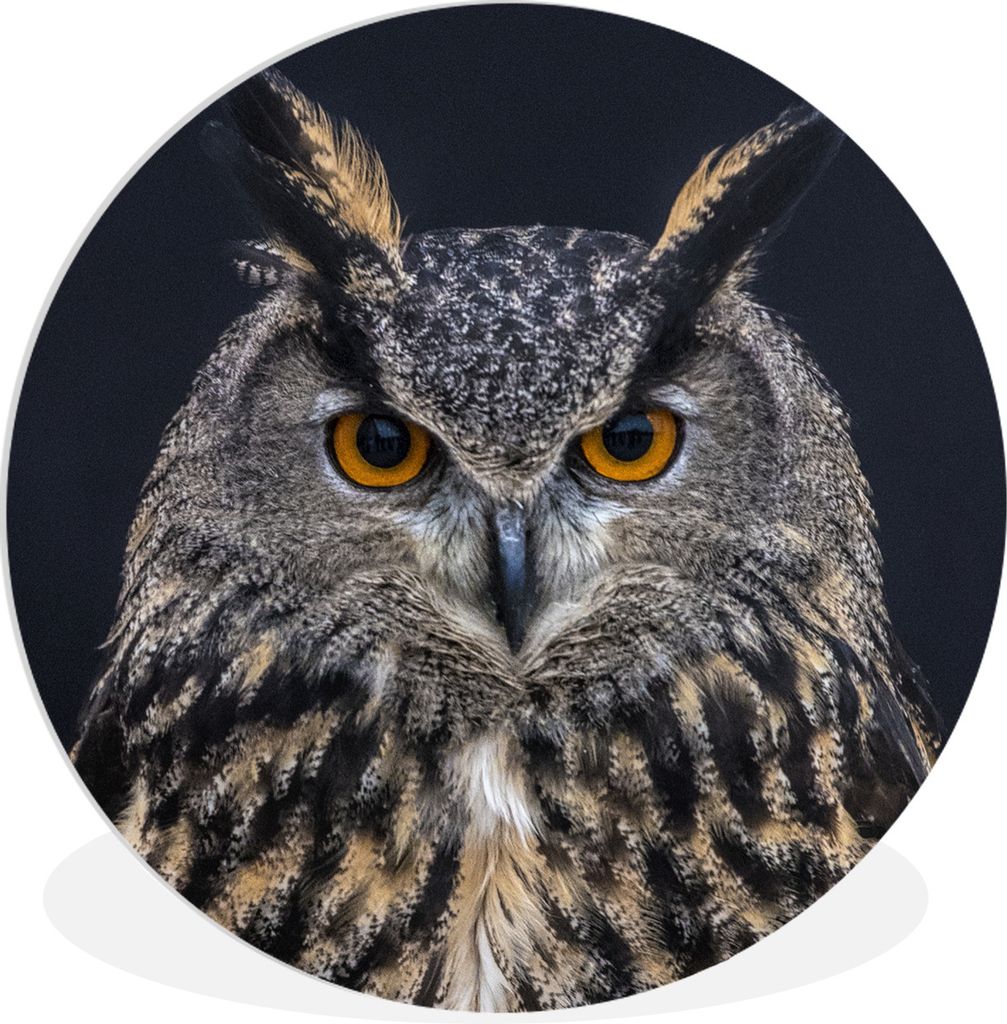 MuchoWow Rundes Wandbild - Runde Bilder Uhu Porträt Ø 60 cm Kreis Wanddekoration Kunststoff - Wandkreis - Wandschmuck - Wand Kreis - Das Schlaf...