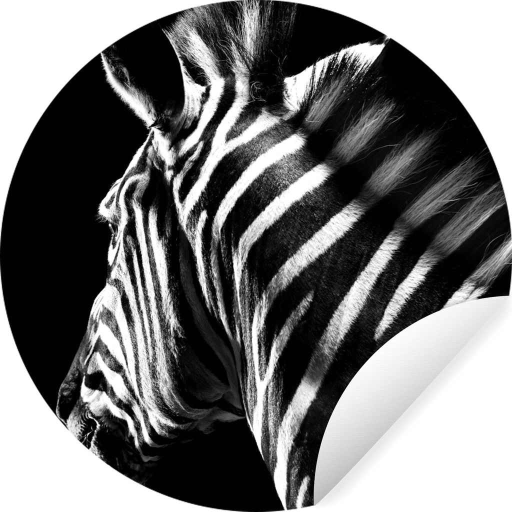 MuchoWow Runde Wandtattoo - Wandsticker Tapete Aufkleber Zebra - Tier - Weiß - Schwarz und Weiß Ø 80 cm Selbstklebend und Repositionierbar - W...