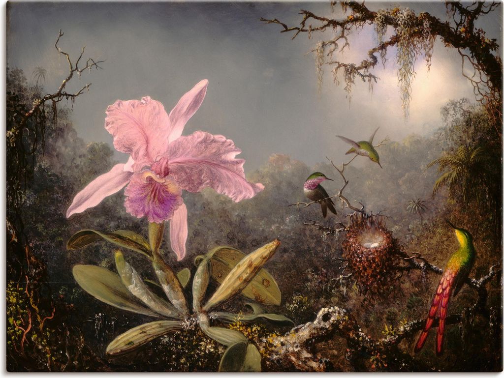 ARTland Leinwandbild Cattleya Orchidee und drei Kolibris. Größe: 60x45 cm