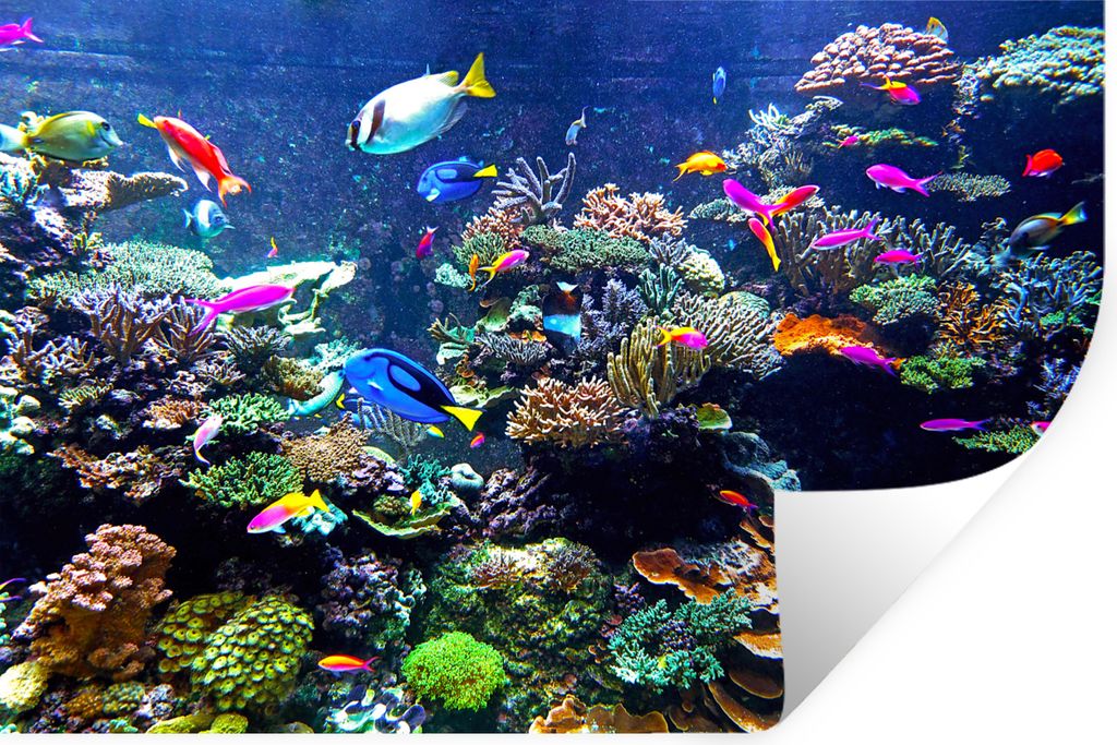 MuchoWow - Wierderverwendbar - Selbstklebend