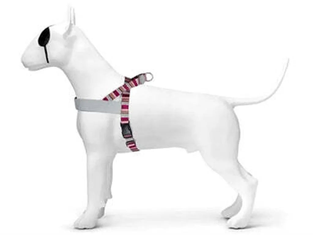 Pettorina Morso Cane Skyline Rosso Rosa Riciclato - Resistenza Top