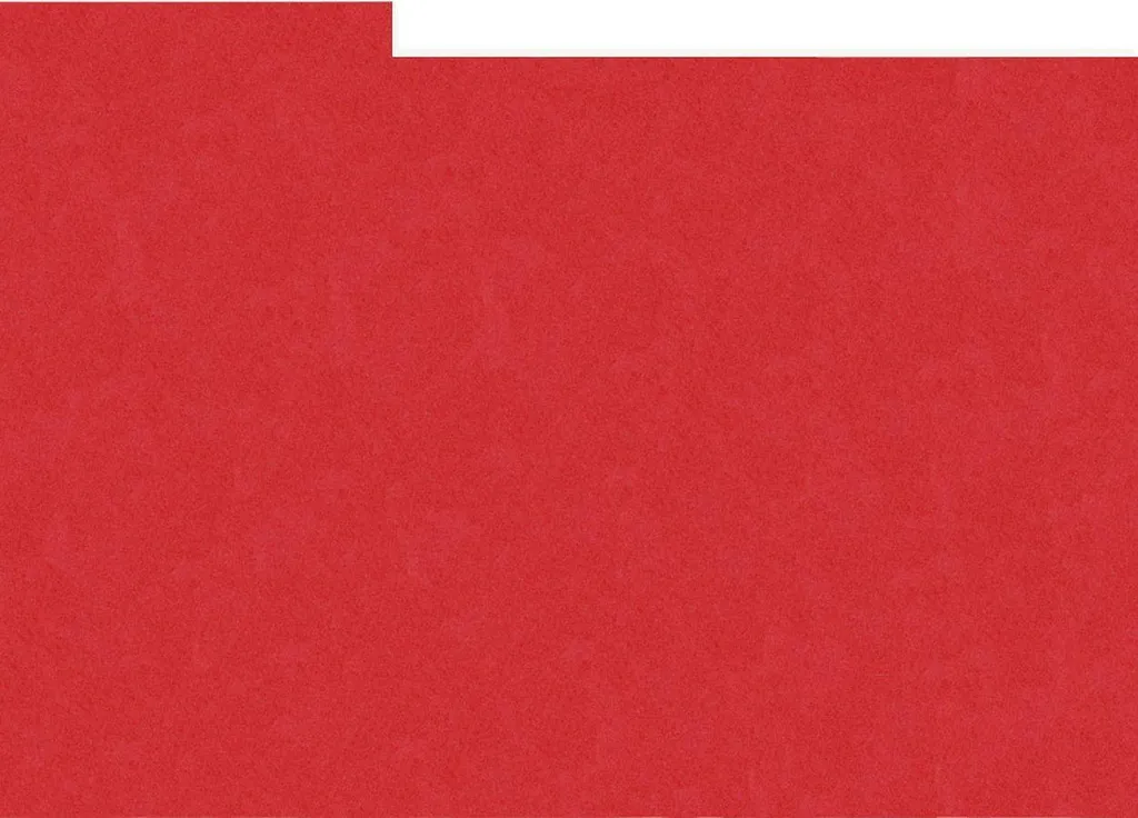Organisez vos Photos 15x20 cm avec les 10 Intercalaires HNFD Rouges