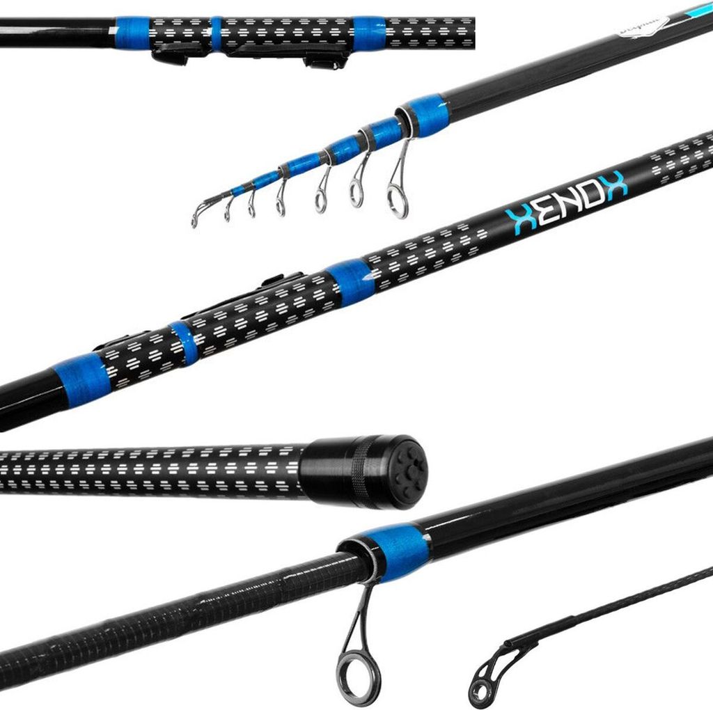 DELPHIN XENOX BOLOGNESE canne 6,0m/292g / Wg.<30g/ high Image du produit 