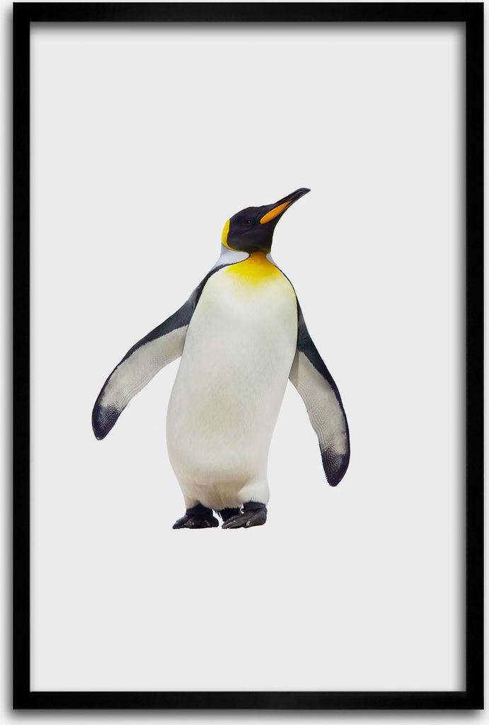 Bild - Bilderrahmen - 40 cm x 60 cm - MDF - Rahmen - Wandkunst - Pinguin