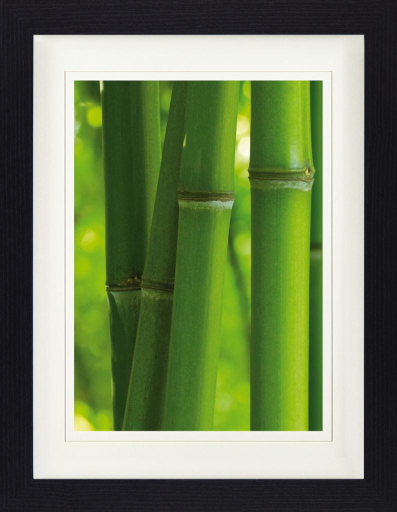 Bambus Gerahmtes Bild Mit Edlem Passepartout | Wand-Bilder | Im Bilderrahmen - Bambusstangen Nahaufnahme (40 x 30 cm)