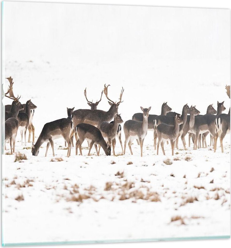 Bilder auf glas - Hirsch Winter Tierwelt Landschaft - 60x60cm - Glasbilder - Wandbilder - Kunstdruck - zum Aufhängen bereit - Wanddekoration aus G...