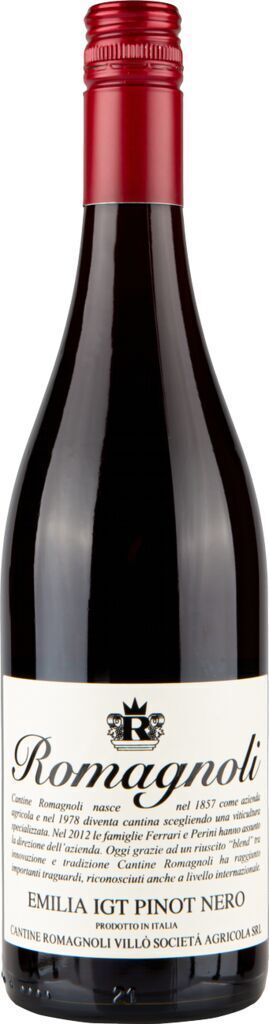 Pinot Nero Emilia IGT - Vitae 2023 Emilia-Romagna | Italien Produktbild 