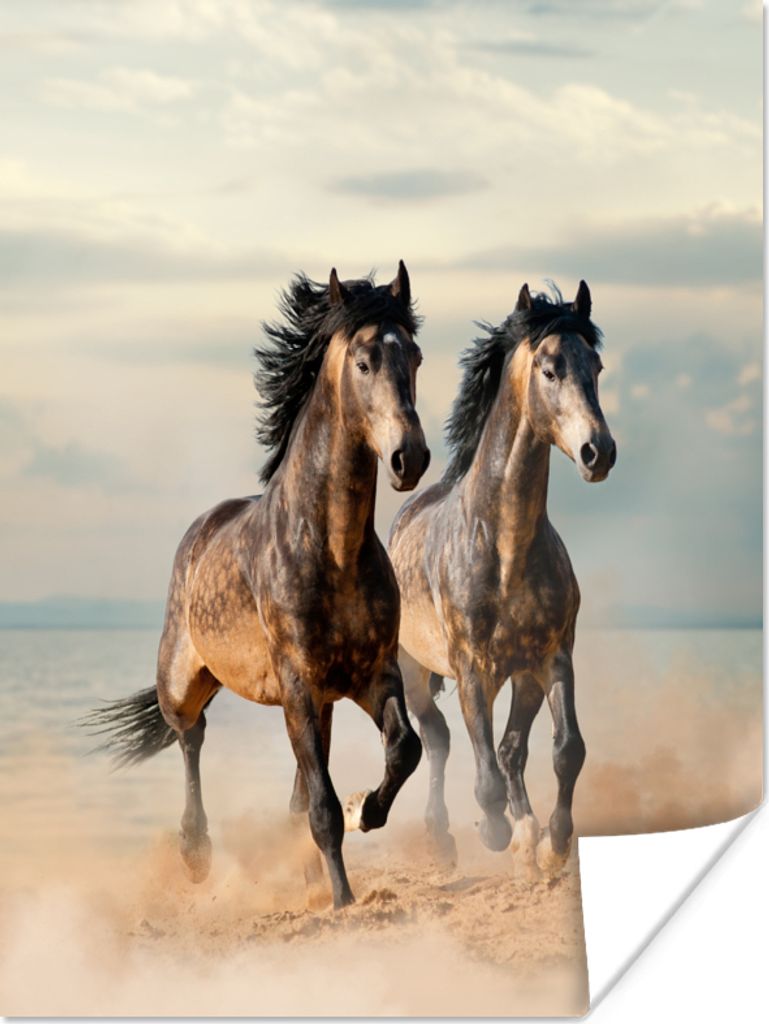 MuchoWow Poster Pferde - Strand - Meer - Stoff 30x40 cm - Wandplakat - Poster Kinderzimmer