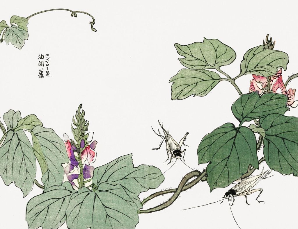 Plakat 65x50cm Blatt und Blume Morimoto Toko Japanisch Vintage für das Wohnzimmer