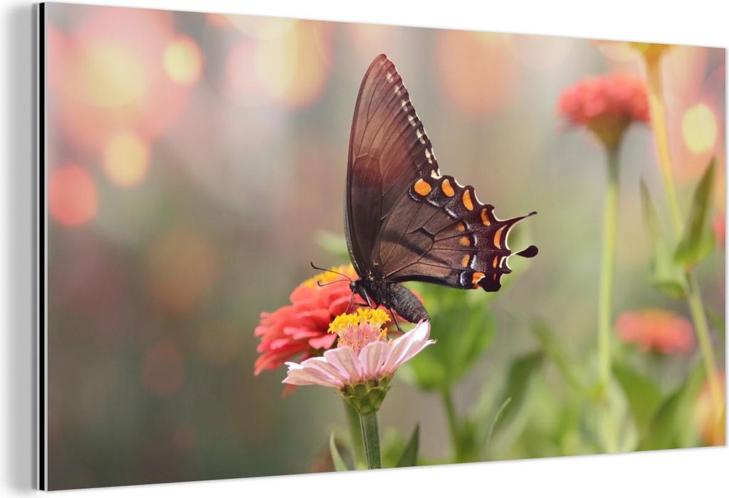 MuchoWow Wanddekoration Metall Metallbild Wandkunst 40x20 cm Blumen - Schmetterling - Natur - Blume MuchoWow Aluminium Gemälde - Bild - Aluminium