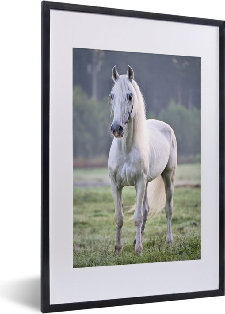 MuchoWow MuchoWow Gerahmtes Poster Pferd - Licht - Morgen 40x60 cm - Poster mit zchwarzem Bilderrahmen - Poster in Rahmen