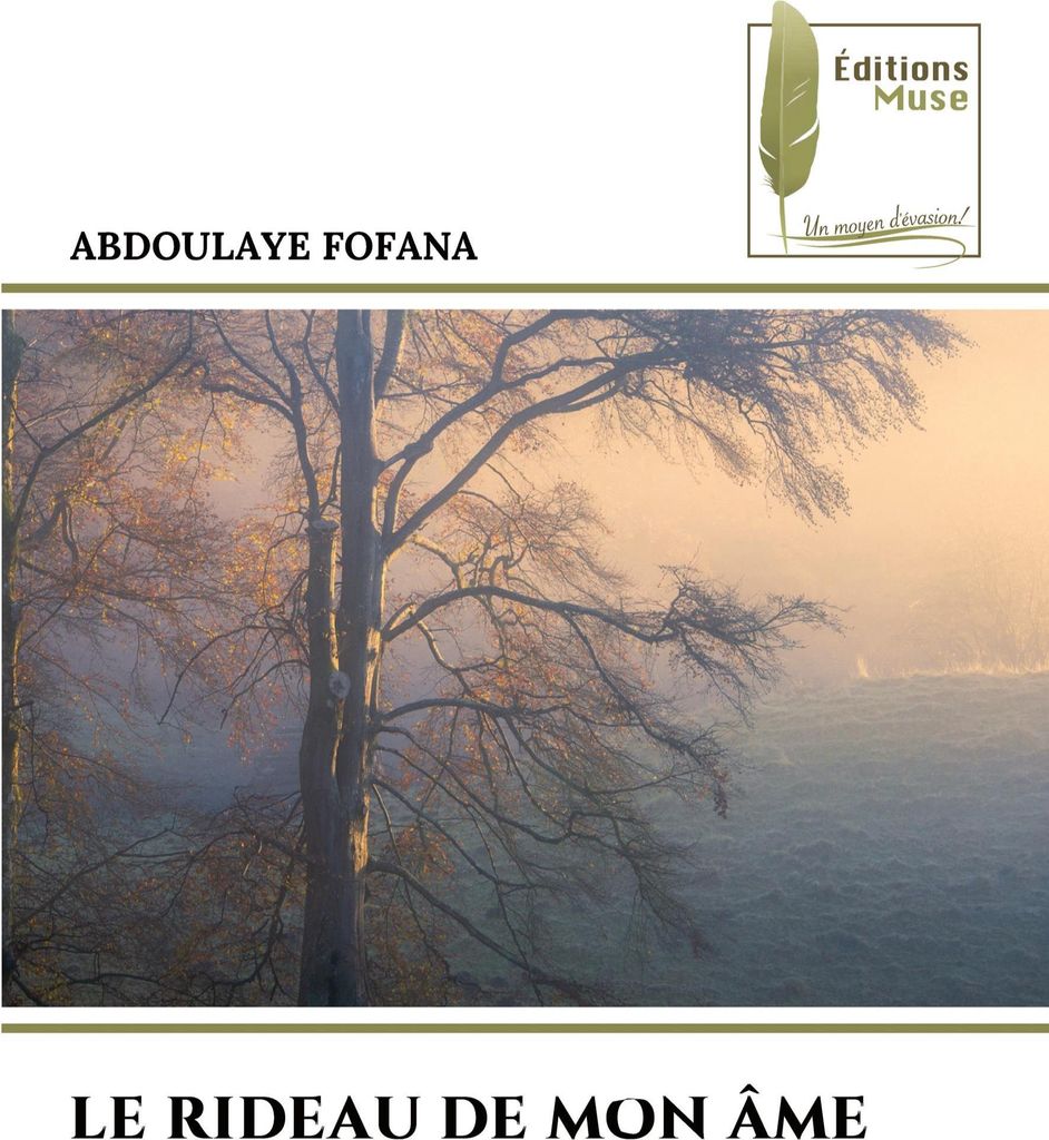 Le Rideau De Mon Âme