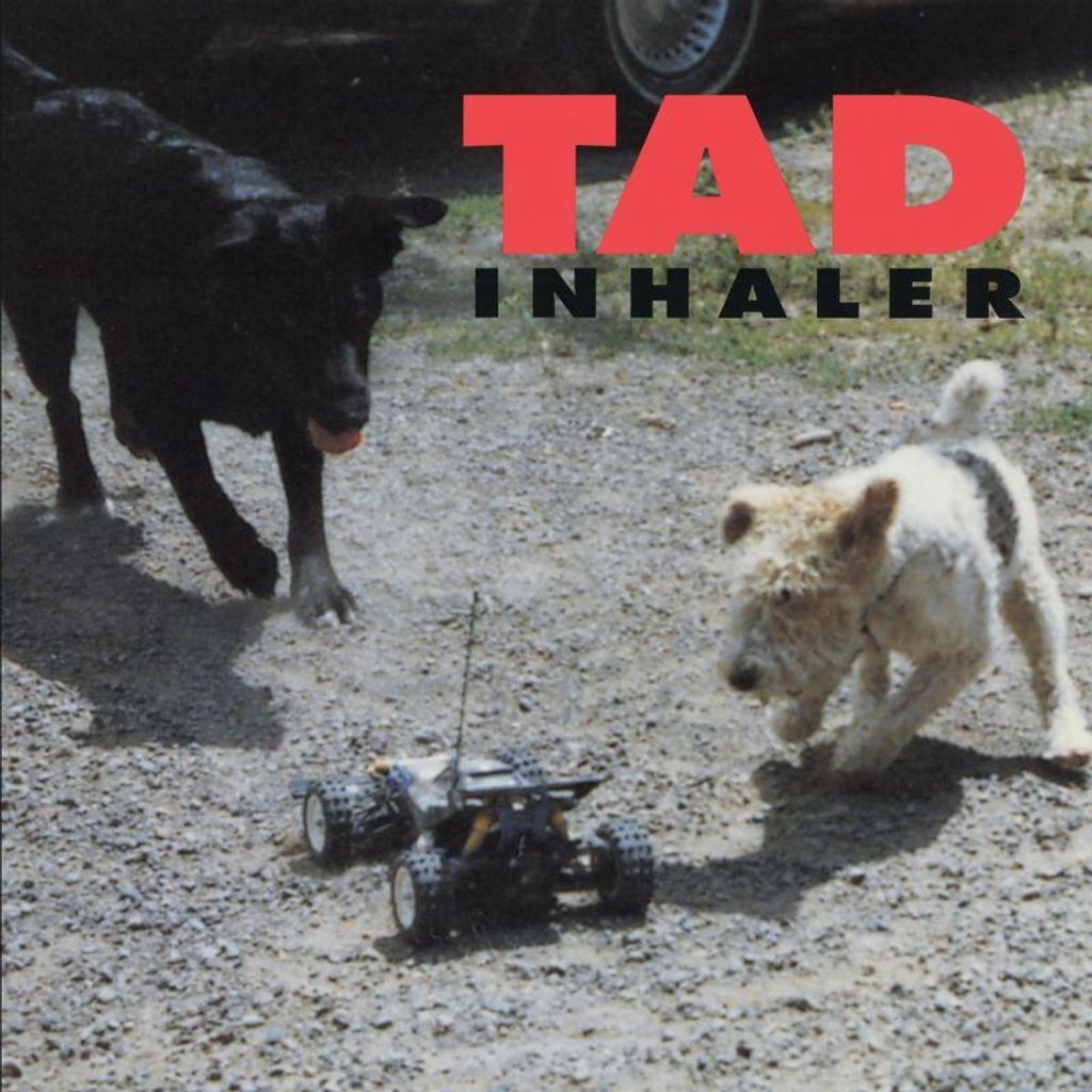 Tad: Inhaler