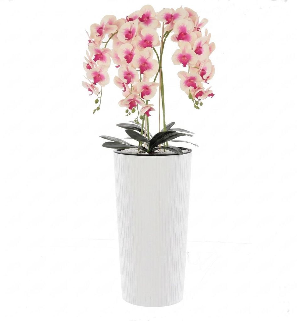 Künstliche Orchidee Cremerosa Kaskaden Blumenstrauß im Topf Produktbild 