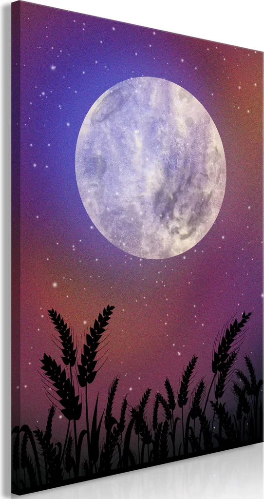Decorazione Parete Notte in Campagna 40x60 - Quadro Moderno Tela