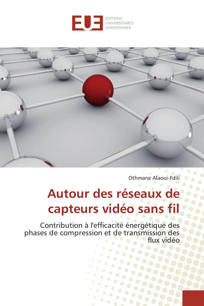 Autour des réseaux de capteurs vidéo sans fil