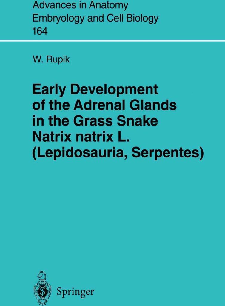Early Development of the Adrenal Glands in the Grass Snake Natrix natrix L. (Lepidosauria, Serpentes)