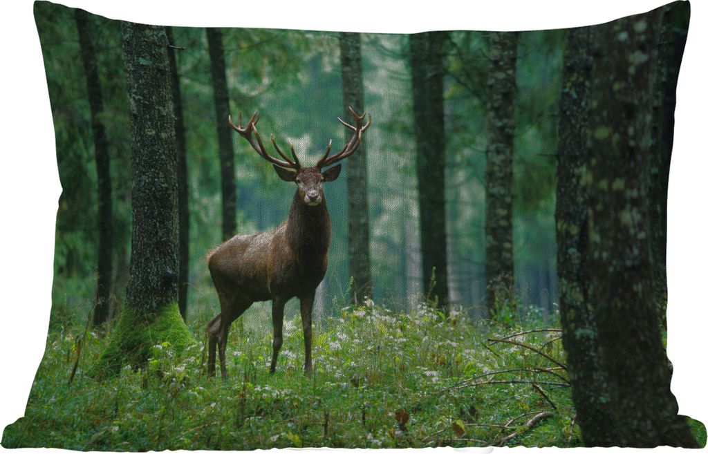 MuchoWow Outdoor Kissen - Hirsche - Wald - Bäume - Tiere - Natur - 50x30 cm - Wetterfest - Lounge Kissen - Sofa kissen - Wohnzimmer Dekoration