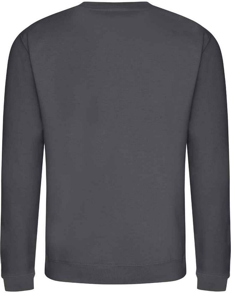 Awdis - Sweatshirt für Herren/Damen Uni RW9009 (L) (Mittelgrau)