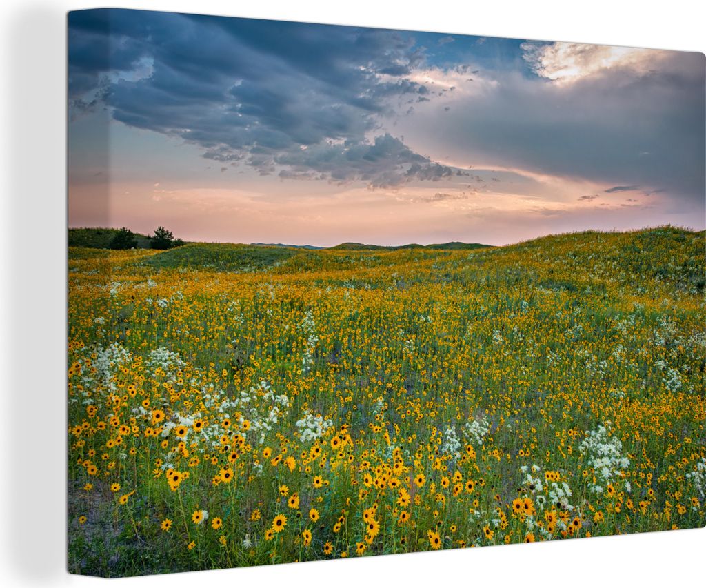 OneMillionCanvasses - Leinwandbilder - 140x90 cm, Feld mit allerlei bunten Blumen in Nebraska, Wandbilder Kunstdruck Wanddekoration - Foto auf Le...