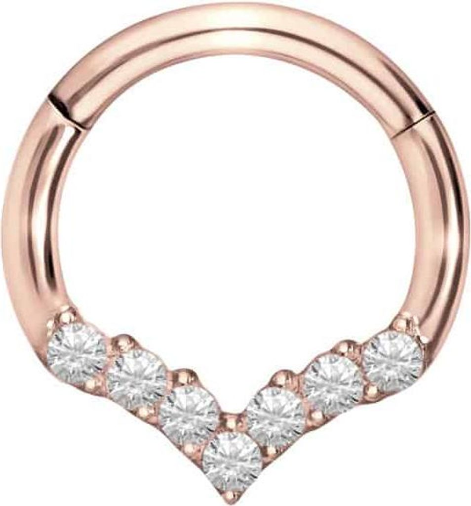 Ohrpiercing, Nasenpiercing, Septum Piercing Titan Segmentring Clicker SPITZ + EINGEFASSTE KRISTALLE