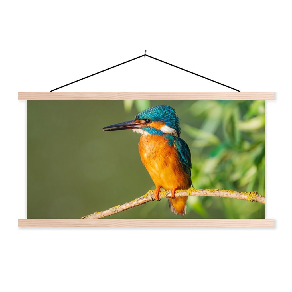 MuchoWow Textilposter Vogel - Eisvogel - Zweig - Blätter - Moos 60x30 cm mit holzfarbenen Rahmen - Dekoration