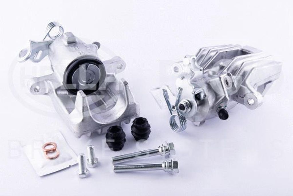 HELLA Bremssattel Hinten Links für VW Golf IV Schrägheck (1J1) 8AN 355 784-591