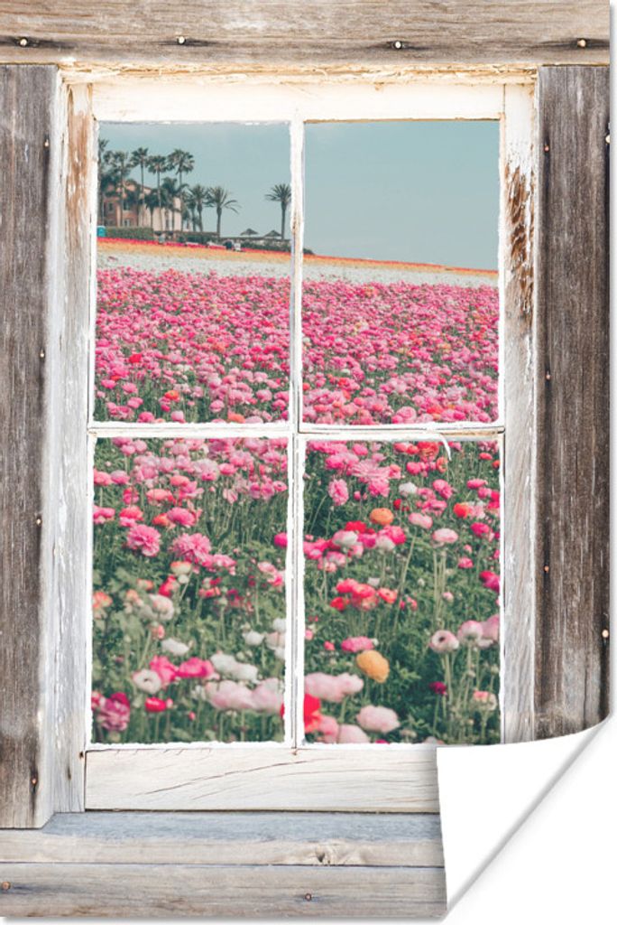 MuchoWow Poster Aussicht - Feld - Blumen 20x30 cm - Papierdruck