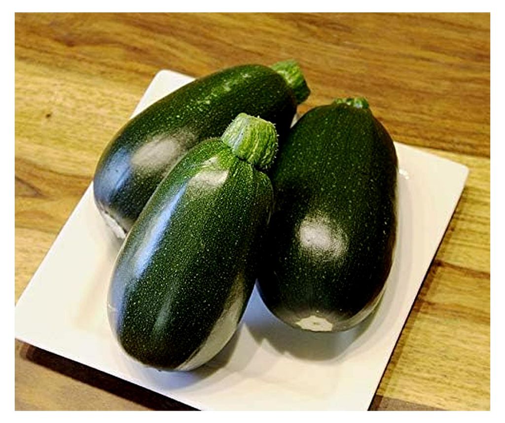 Kürbissamen Green Griller F1 Zucchini Portion