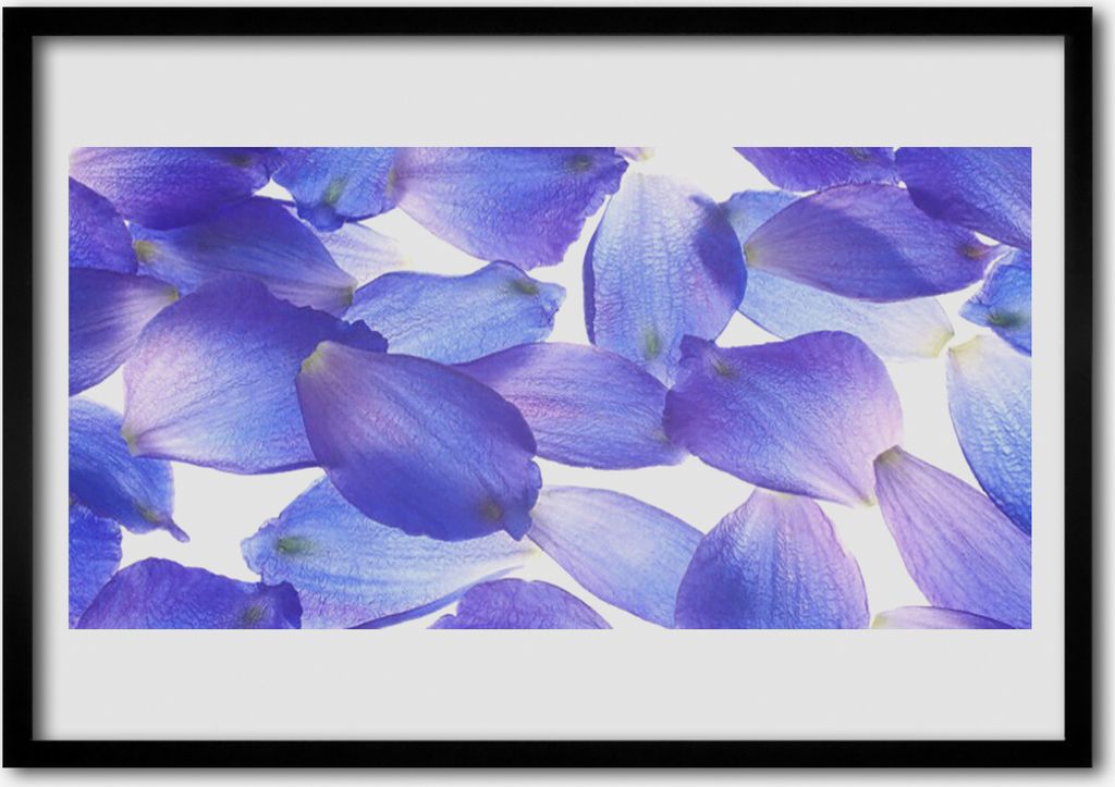 Bild 70x50 MDF-Rahmen Wandkunst Natur Blütenblätter Pflanze Produktbild 