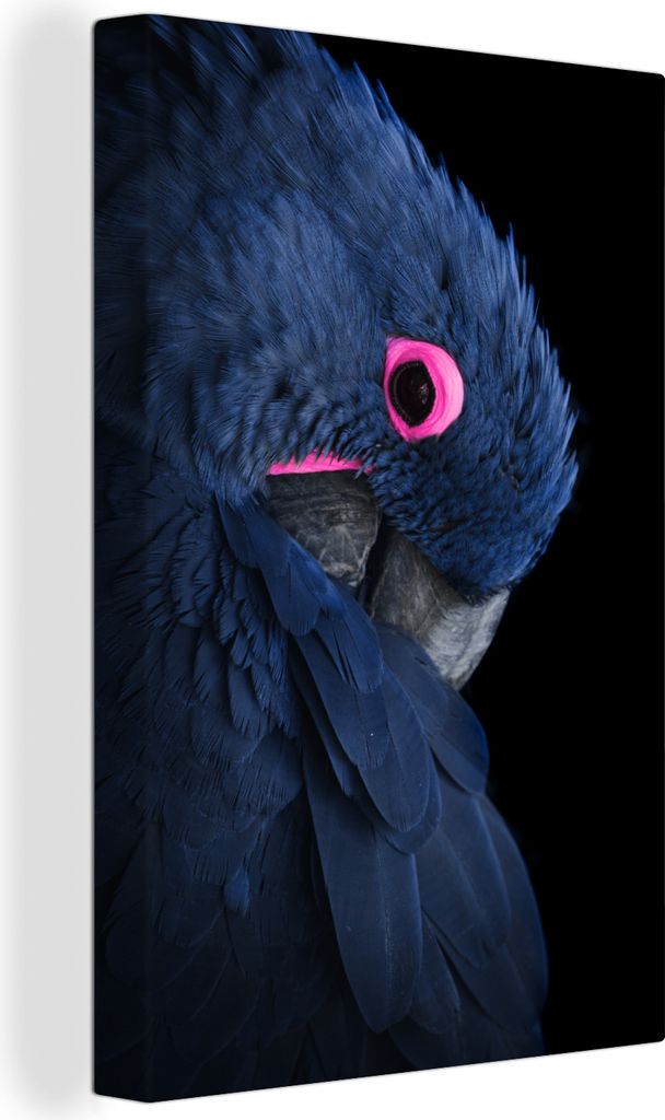 OneMillionCanvasses - Leinwandbilder - 90x140 cm, Papagei - Vogel - Blau, Wandbilder Kunstdruck Wanddekoration - Wandschmucke - Schlafzimmer