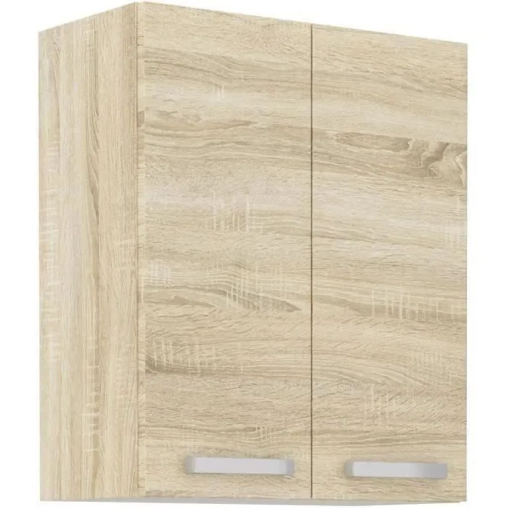 Armoire de bureau LASSEN 2 portes L60 chêne Sonoma pour dossiers
