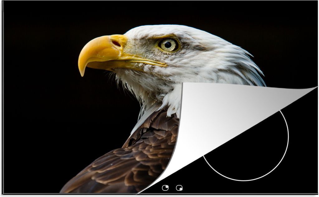 KitchenYeah Herdabdeckplatte Adler - Vogel - Augen - Schnabel , 78x52cm, Küche Deko, Glaskeramikkochfeld Herdabdeckung, Abdeckplatte fùr Kochfeld