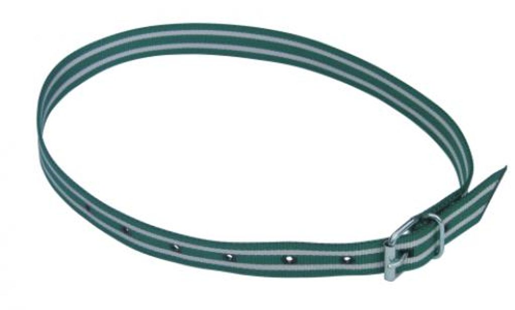 Halsmarkierungsband,120 cm grün/weiß, Rollschnalle