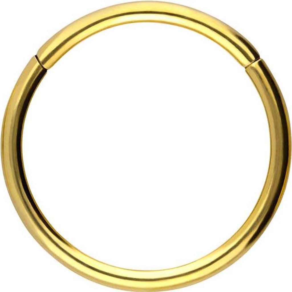 Ohrpiercing, Nasenpiercing, Septum Piercing Chirurgenstahl Segmentring Clicker Gold Innendurchmesser: 12mm + Stabstärke: 1,2mm