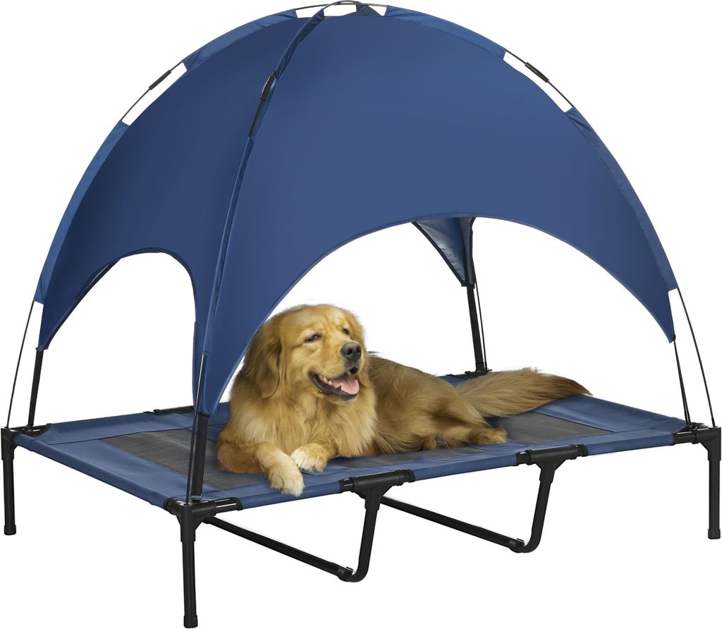 A golden retriever dog is lying on a raised pet bed with a blue canopy.