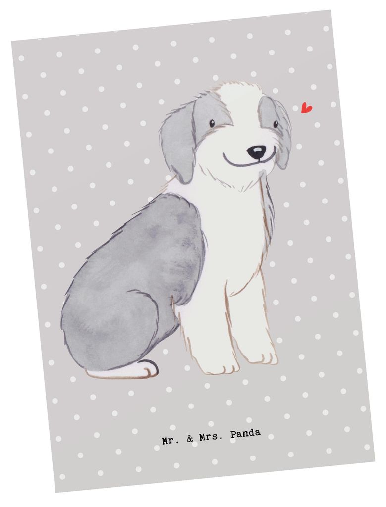 Mr. & Mrs. Panda Postkarte Bearded Collie Lebensretter - Grau Pastell - Geschenk, Britischer Hütehund, bildkarte, Grußkarte, Fotokarte, Ansichtsk...
