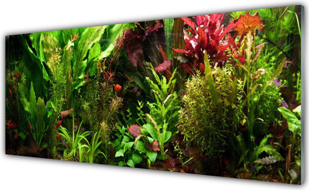 Acrylglasbilder 125x50 Wandbild Druck Blattpflanzen Natur