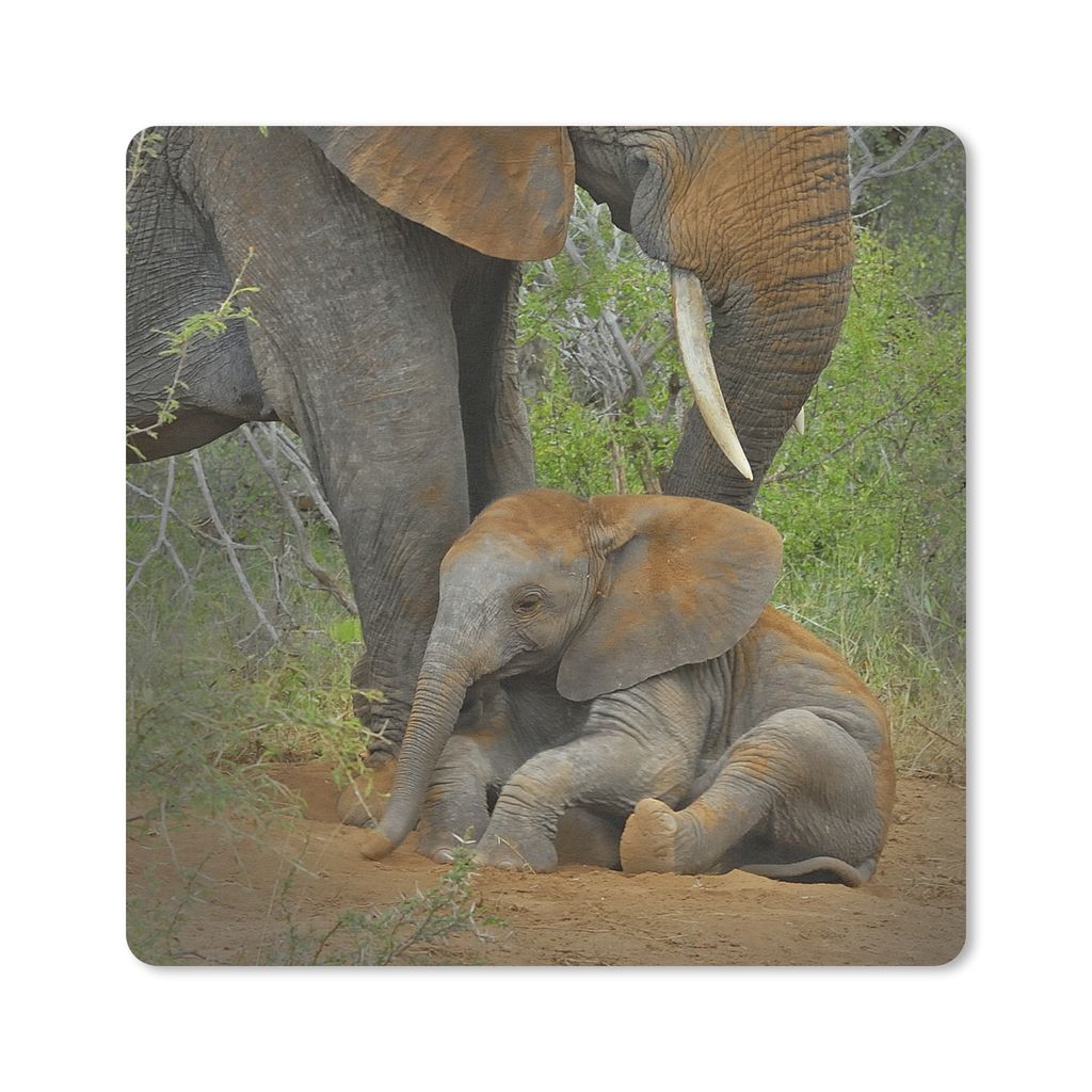 MuchoWow Mauspad Mousepad Elefant - Tiere - Sand - Natur 20x20 cm - Mousepads - Maus Mat - Pad - Mausunterlage - Desk Mat - Bureauartikeln