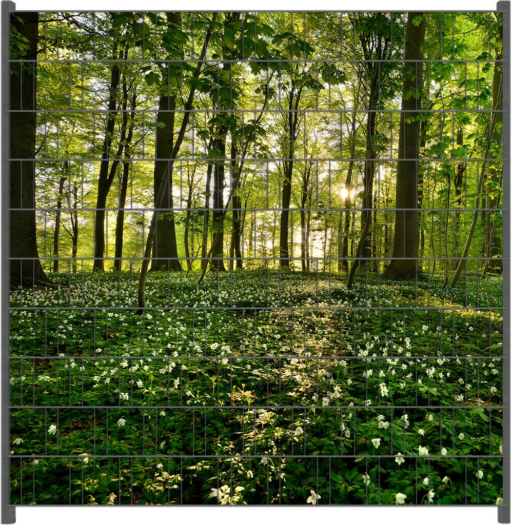 Wallario Zaunsichtschutz mit Motiv Waldanemonen und Sonnenstrahlen im Wald für Ein- und Doppelstabmatten Zäune in der Größe 200 x 200 cm