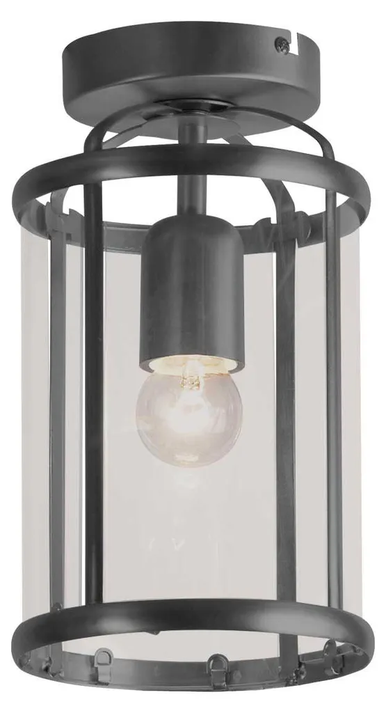 Luminaire de plafond Steinhauer Pimpernel 16cm noir en métal et verre