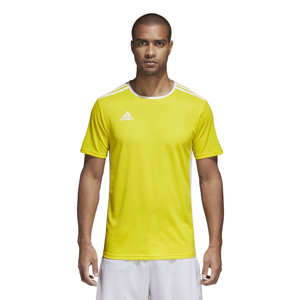 Pánský dres adidas ENTRADA 18 JSY 176 Yellow / White Obrázek produktu 