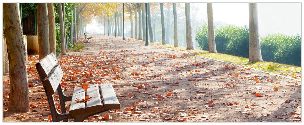 Wallario Premium Glasbild, freischwebende Optik, kräftige Farben, Größe 125 x 50 cm Motiv Einsame Parkbank an einer Allee - Herbststimmung