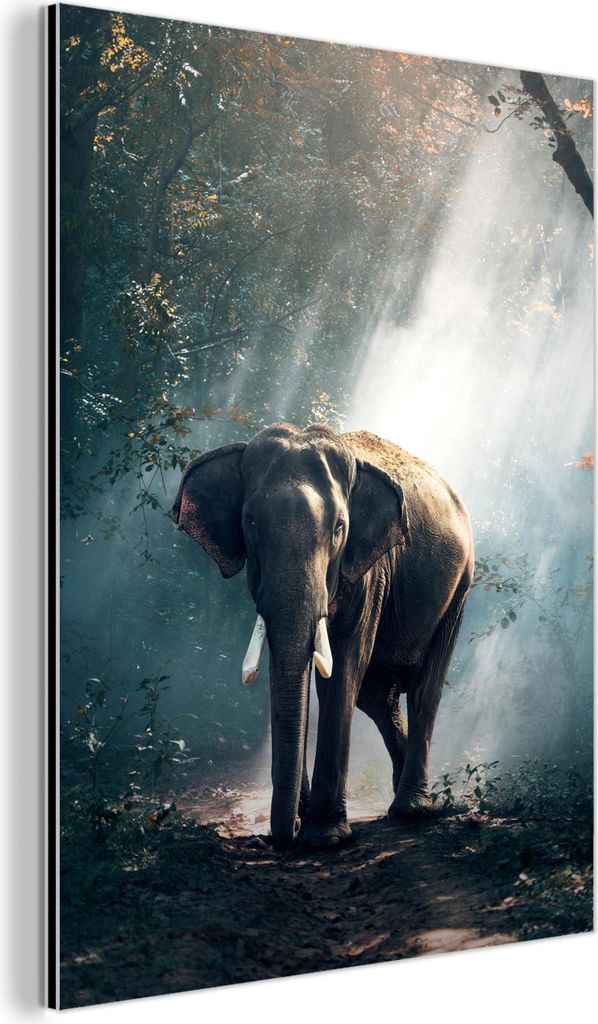MuchoWow Wanddekoration Metall Metallbild Wandkunst 90x120 cm Elefant - Tiere - Licht - Wald - Natur - Wildtiere MuchoWow Aluminium Gemälde - Indu...