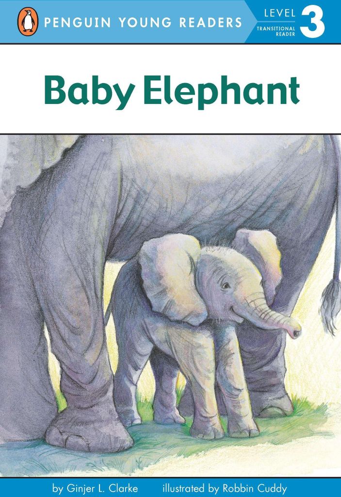 Baby Elephant